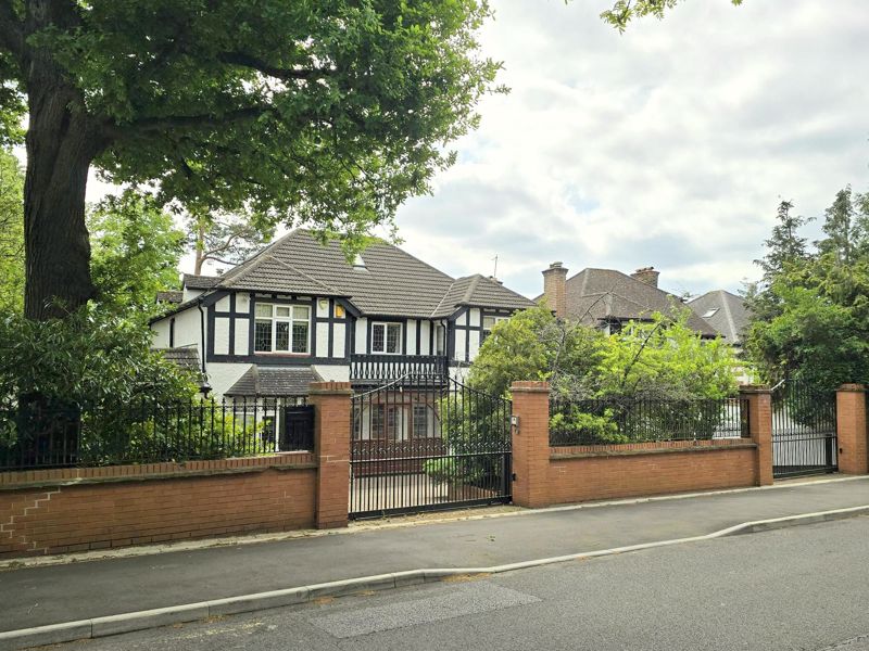 Main Image
